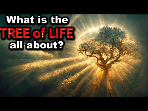 We Studied the Tree of Life in the Bible (Here’s What We Found)