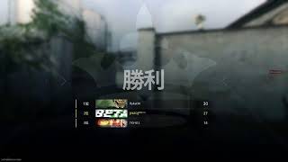 武器開放したいフリフォ。CODMW2