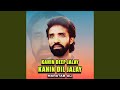 Kahin Deep Jalay Kahin Dil Jalay