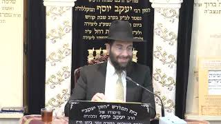הרב משה יוסף • דיני צניעות כנגד תפילין מזוזה וס"ת