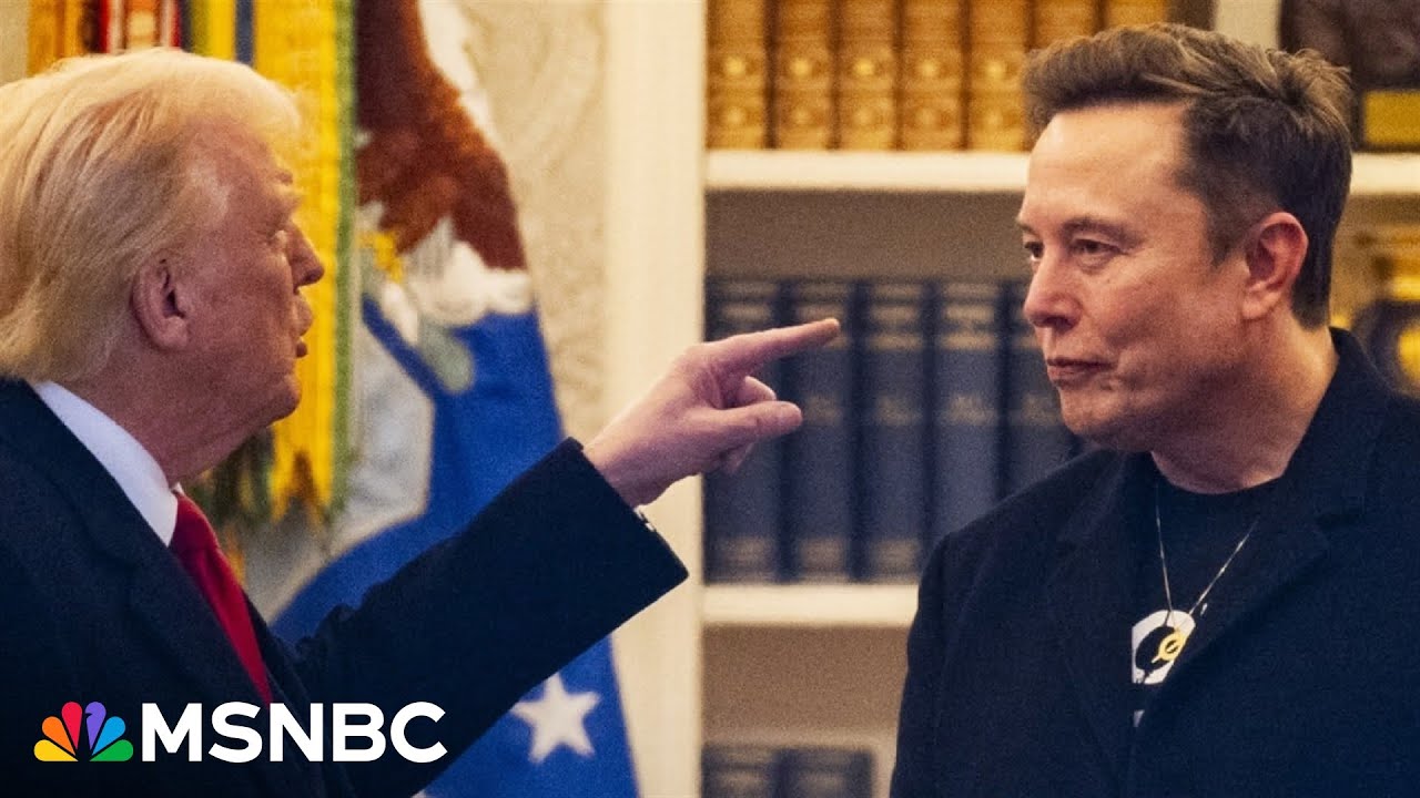 'Real Housewives of the White House': Trump-Musk feud in public view