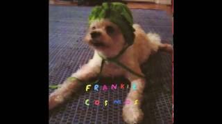 Frankie Cosmos - I Do Too