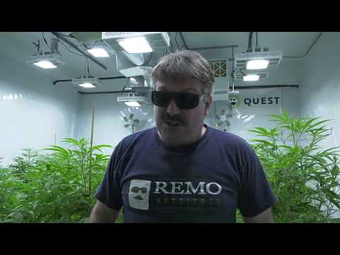 AutoPot SELF WATERING System Week 1 FLOWER