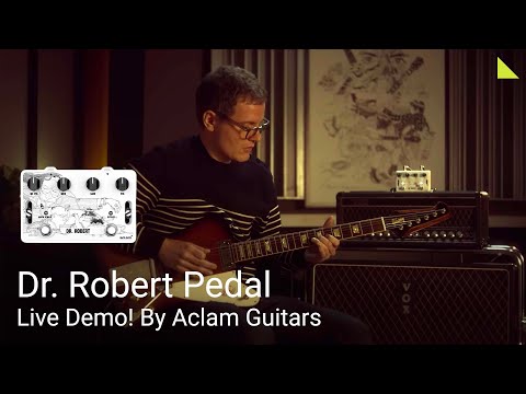 Dr. Robert | Aclam Guitars image 7
