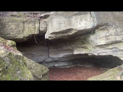 Eisenstadt Johannesgrotte. Pecten, Brachiopoden