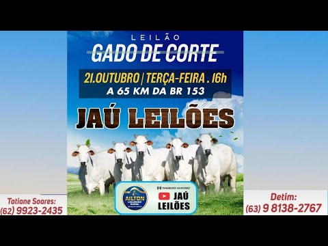 LEILÃO GADO DE CORTE  - JAU LEILÕES  - JAU DO TOCANTINS  -21/ 10/ 2025