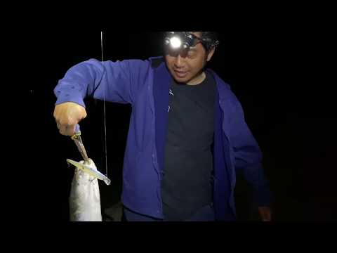 LOJLEEB nuv striper fearther River (striper 4/27/2020)