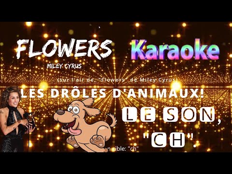[LE SON CH] [CHANSON SOUND SONG] Les Drôles d'Animaux (to "Flowers" by Miley Cyrus) (KARAOKE)