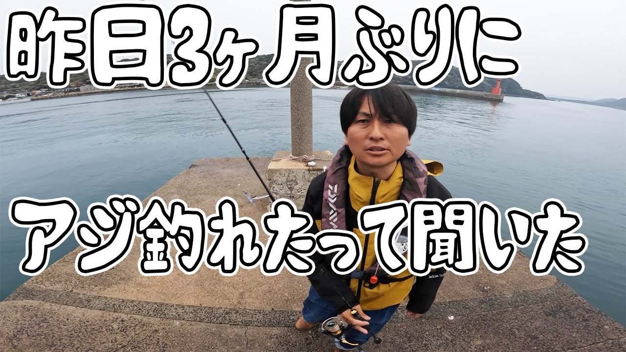 かずこさんがアジ釣れたってよ！