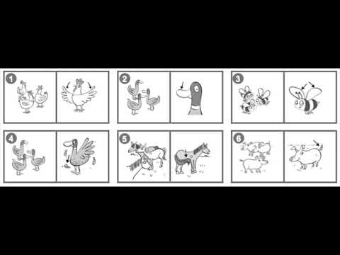 Segundo Unit 4 Listening Test B