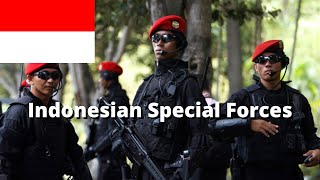 Download lagu Everything about Indonesian Special Forces mp3