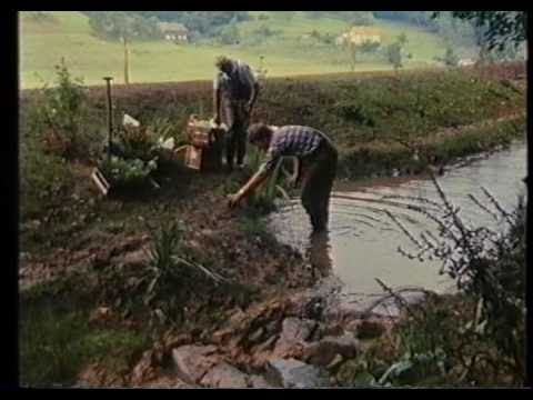 Mittendrin in einem Bachbett - Folge 01 Teil 2