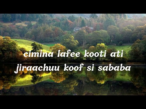 Alamuu Mokonnin | Gulummaa (lyrics)