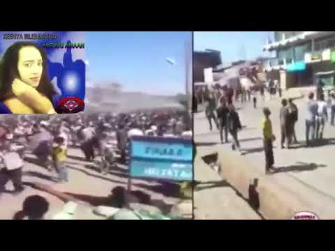 oromo music michuu Amaani😭😭😭