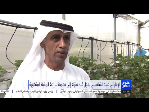 img-video