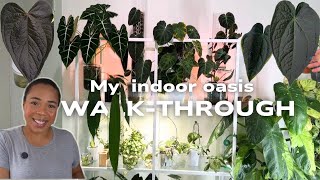 🌼🌿 Welcome to My Spring Oasis! 🌼🌿 2025 Houseplant Collection Walkthrough