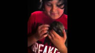 (Ep1) Thor life#I AM WILD CAT