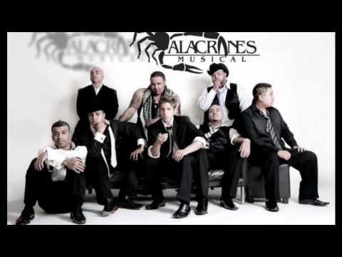mix alacranes musical