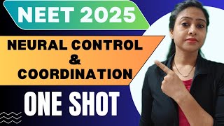 Neural control and coordination | One Shot Chapter |Class 11 Biology |NEET 2025 |#tanuja_biostudies