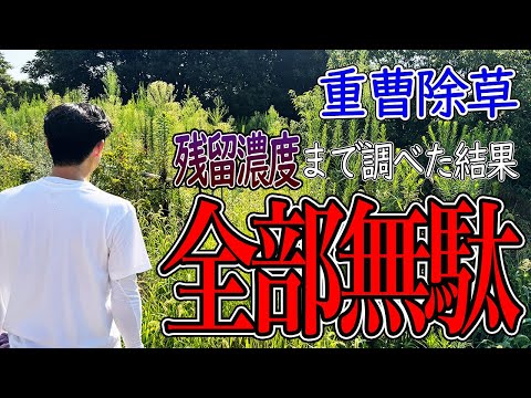 重曹と酢は天然の除草剤レシピで効果的に機能しますか?  庭園