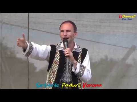 Ion Paladi - Melodii de petrecere la Serbările Pădurii Vorona