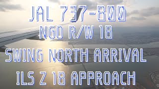 【機窓】JAL 737-800 中部国際空港ランウェイ18着陸 (JAL3114 SWING NORTH ARRIVAL/ILS Z RWY18 APPROACH) DJIPocket2にて