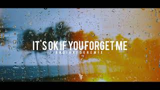 Download lagu Dj Slow Remix - It's Ok If You Forget Me ( Andi Arfck Remix ) Slow Remix mp3