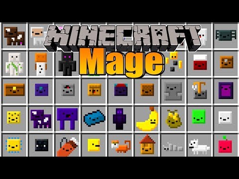 SparkofPhoenix -  Lots of inventory pets!  - Minecraft Mage #10