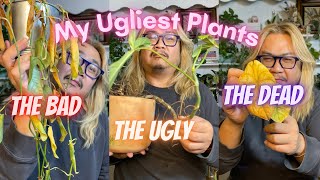 Meet My FUGLY Plants.