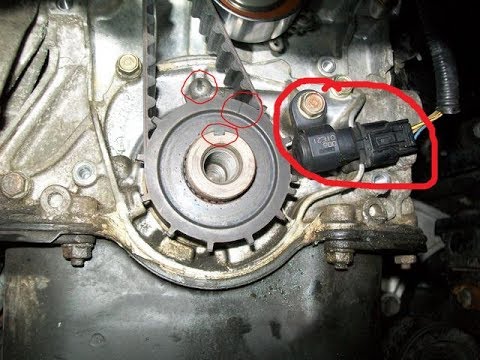 download lagu mp3 mp4 P1337, download lagu P1337 gratis, unduh video klip P1337