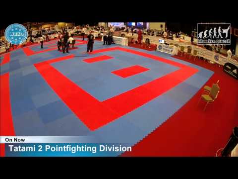 Tatami 2 WAKO World Championships 2015, Dublin, 26/11/15