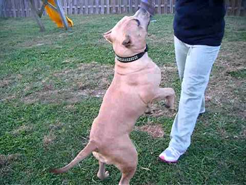 davika 6 months video.AVI