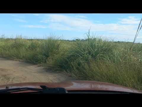 Estado del camino hasta Mirador Punta Rasa. Regreso. Martes 25 de Noviembre 2025