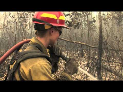 Jim Sutherland Media teams with the Georgia Forestry Commission