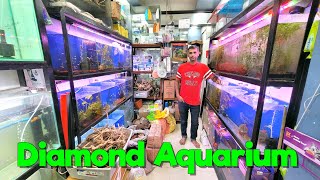 Diamond Aquarium Store in Dombivli