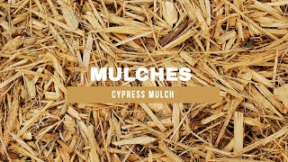 CypressMulch