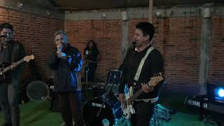 kashmir  Surfing the warm industry cover live  (jigsaw falling band)