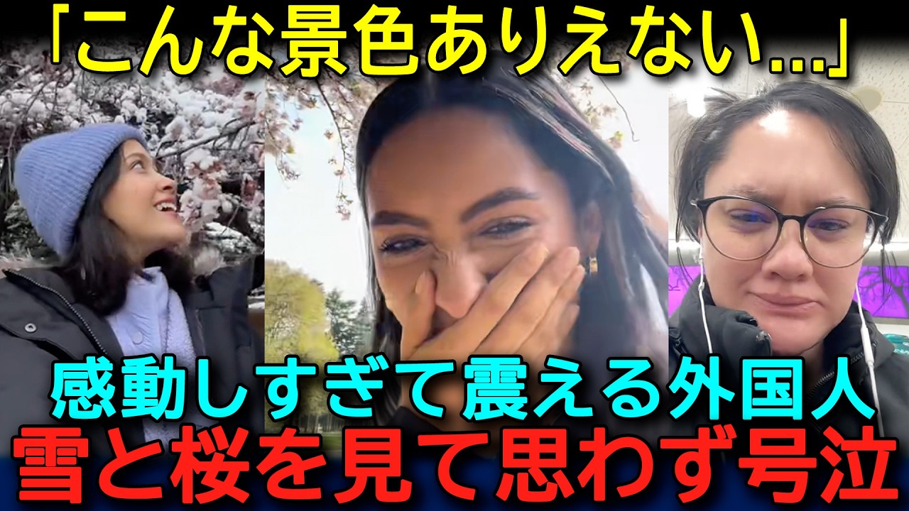 【海外の反応】「日本だけズルすぎる…」桜の美しさに外国人が号泣