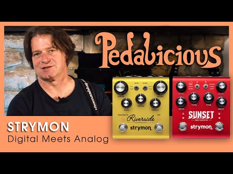Strymon Sunset and Riverside - Pedalicious