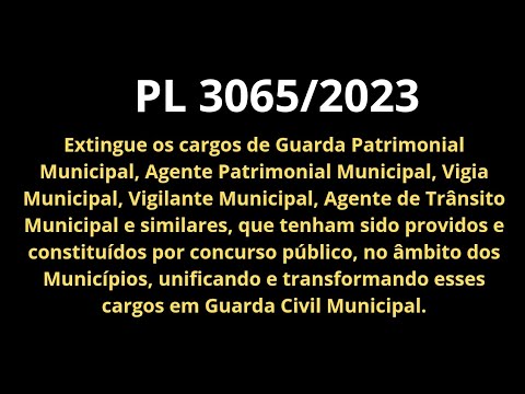 GUARDAS MUNICIPAIS e a PL 3065/2023: o que aconteceu