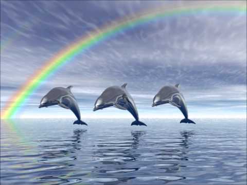 Bangum -Dolphin Ft Infa Lu'Ciano