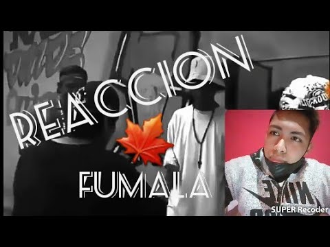 [Reaccion] - Fumala de Cruz Santa|Jose farruk