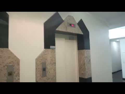 2 Elevadores ThyssenSÛR SkyLite e Privillege MicroMove