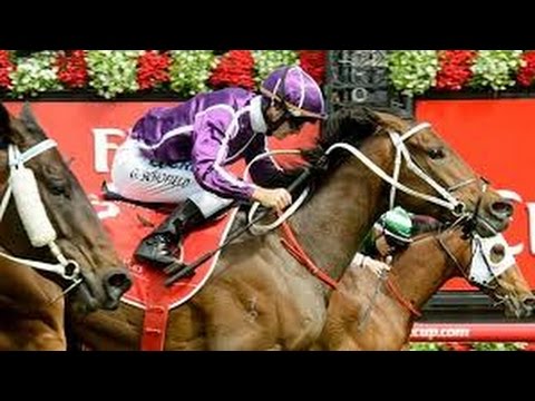 2015 BRC Doomben 10000 _ Boban