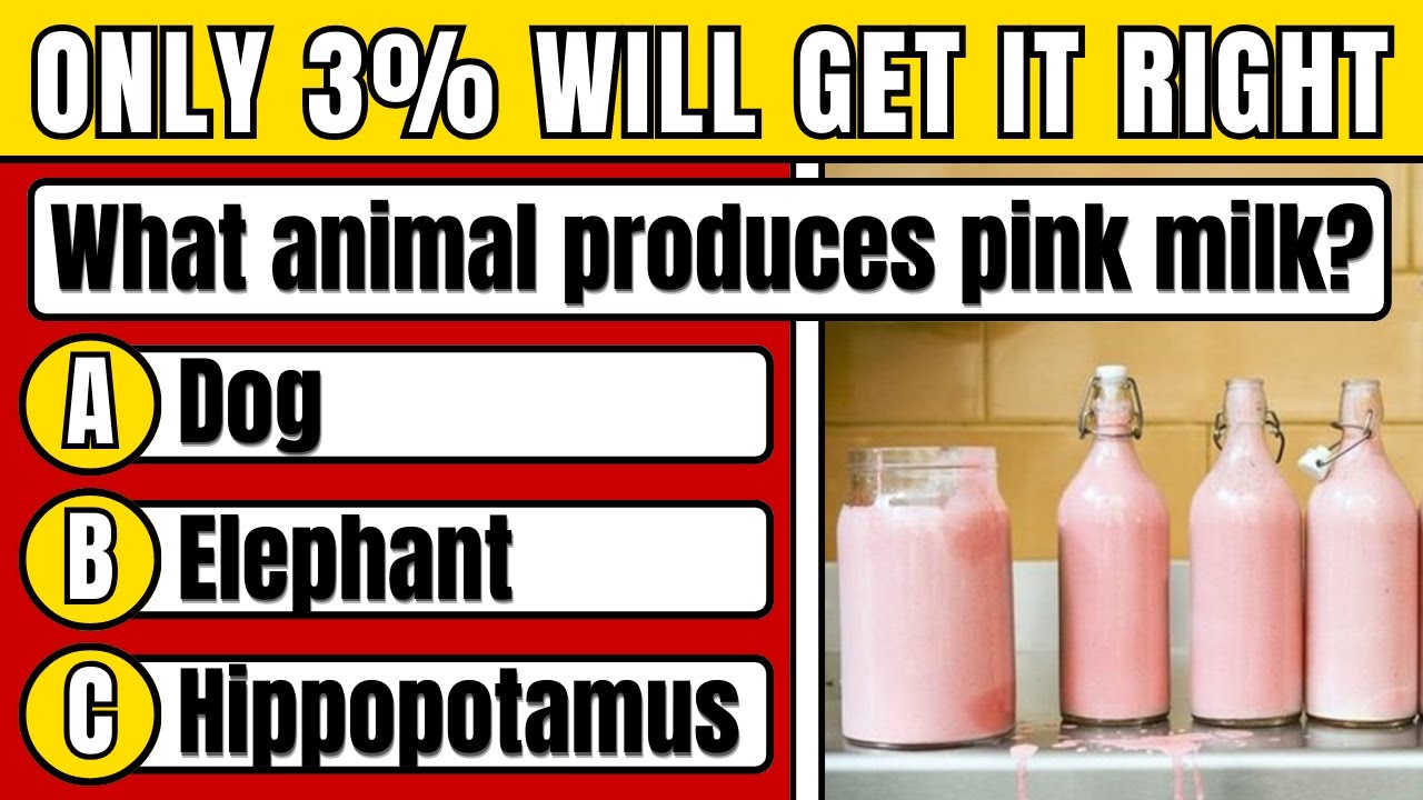 100 Questions that 97% of People Can't Answer! (Animal Quiz)