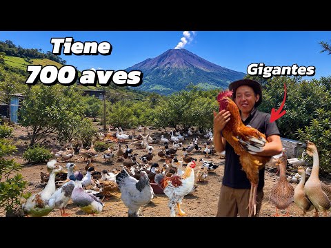 Dejo de ser Ingeniero para vivir en el campo criando aves Gigantes 