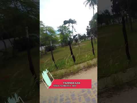 FAZENDA ILHA 🐮🐷🐔🐴 em NISIA FLORESTA - RN 🌴🏍 #shorts #riograndedonorte #fazenda #nísiafloresta