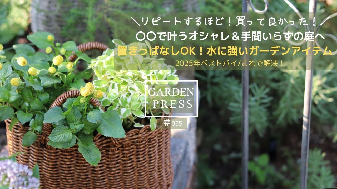 【ガーデニング】リピートするほど買って良かったガーデンアイテム｜これで叶うオシャレで＆手間いらずの庭|ラタン風バスケットが優秀すぎた｜ベストバイ2025｜ガーデニング｜50代の庭