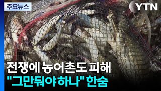 '중동 사태'에 농어촌도 피해..."그만둬야 하나" 한숨 / YTN