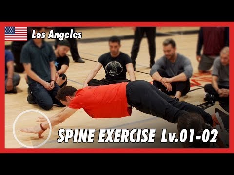 Spine exercise Level 01 & 02 - DK Yoo